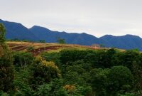 Lokasi Tanah Ulayat yang Direbut Warga Gendang Rempo VS Gendang Manga. (Foto: Info Labuan Bajo)