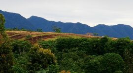 Lokasi Tanah Ulayat yang Direbut Warga Gendang Rempo VS Gendang Manga. (Foto: Info Labuan Bajo)
