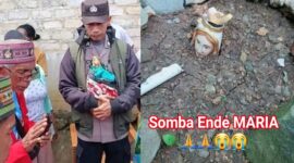 Peristiwa Penguburan Patung Bunda Maria dan Alkitab di Nggawut, Manggarai Barat Pemilik Sebut Atas Saran Romo Ompi