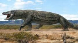 Legenda dan Sejarah Komodo: Warisan Budaya dan Keajaiban Dunia dari Nusa Tenggara Timur