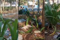 Kondisi Taman Kota di Labuan Bajo Dipenuhi Sampah