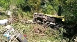 Truk Pengangkut Pupuk Subsidi Masuk Jurang 75 Meter di Manggarai Barat, Begini Kondisi Penumpang