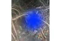 Warga Satarmese Barat Digegerkan dengan Penemuan Mayat, Identitas Belum Diketahui