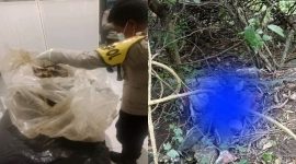 Penemuan Mayat di Satarmese Barat Jadi Sorotan, Identitas Korban Perlahan Terungkap