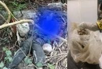 Penjelasan Polisi Soal Penemuan Mayat Perempuan di Satarmese Barat