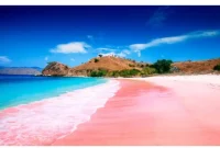 Pantai Pink: Keunikan Pasir Merah Muda di Labuan Bajo
