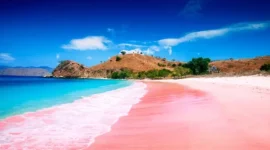 Pantai Pink: Keunikan Pasir Merah Muda di Labuan Bajo