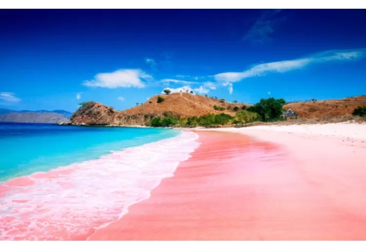 Pantai Pink: Keunikan Pasir Merah Muda di Labuan Bajo