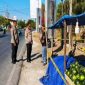 Pedagang Semangka Tewas Ditikam Saat Kejar Pencuri di Kupang, Polisi Buru Pelaku