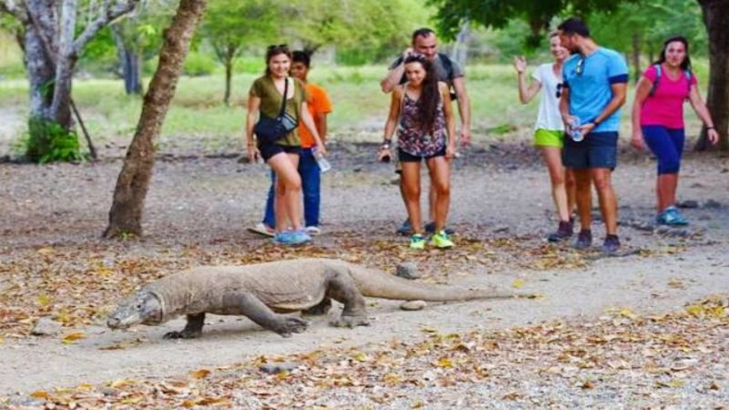 Pemandangan Sejumlah Tamu Saat Berkunjung di Kawasan Taman Nasional Komodo. (Foto: Istimewa)