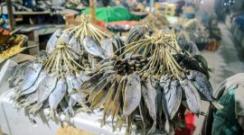 Ikan Cara dari Labuan Bajo — Cita Rasa Laut yang Tak Terlupakan