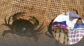 Dua Warga NTT Tewas Diduga Keracunan Kepiting Laut, Sembilan Lainnya Dilarikan ke Puskesmas