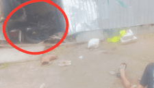 Siswa SMP Katolik di Labuan Bajo Terlibat Aksi Standing di Jalan Berujung Motor Terperosok Masuk Rumah Warga