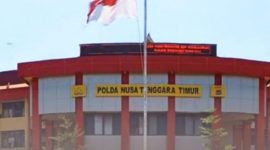 Ramai Disorot Razia Sopi, Polda NTT Klarifikasi Isu 