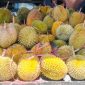 Efek Samping Makan Durian: Penderita Penyakit Ini Harus Berhati-Hati