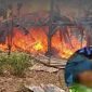 Pondok Terbakar Saat Tidur Siang, Lansia di Manggarai Barat Alami Luka Bakar Serius
