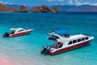 Speedboat Tujuan Rinca Kembali Diizinkan Berlayar, Syahbandar Terbitkan Maklumat Pelayaran