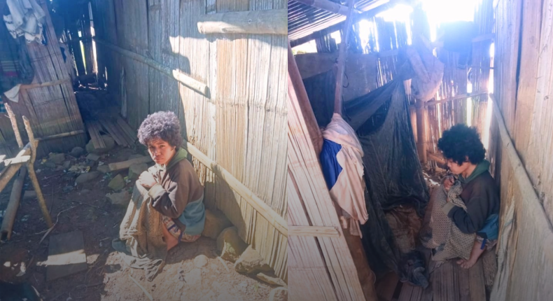 foto slider headline