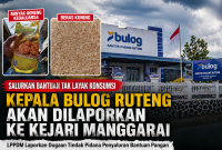 LPPDM Laporkan Dugaan Beras Bantuan Tak Layak Konsumsi ke Kejari Manggarai, Sebut Ada Indikasi Pelanggaran Pidana
