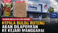 LPPDM Laporkan Dugaan Beras Bantuan Tak Layak Konsumsi ke Kejari Manggarai, Sebut Ada Indikasi Pelanggaran Pidana