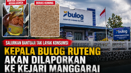 LPPDM Laporkan Dugaan Beras Bantuan Tak Layak Konsumsi ke Kejari Manggarai, Sebut Ada Indikasi Pelanggaran Pidana