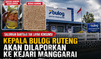 LPPDM Laporkan Dugaan Beras Bantuan Tak Layak Konsumsi ke Kejari Manggarai, Sebut Ada Indikasi Pelanggaran Pidana