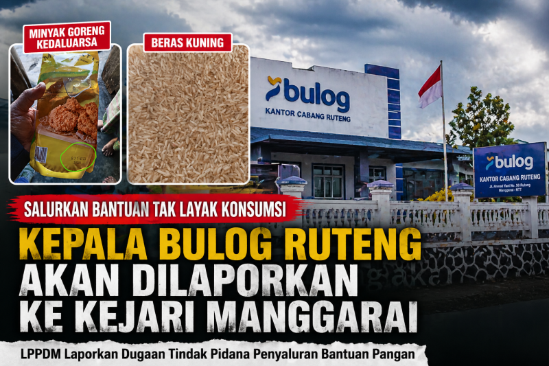 LPPDM Laporkan Dugaan Beras Bantuan Tak Layak Konsumsi ke Kejari Manggarai, Sebut Ada Indikasi Pelanggaran Pidana